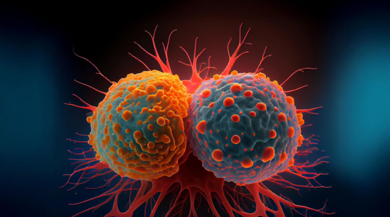 Cell Division and attachment